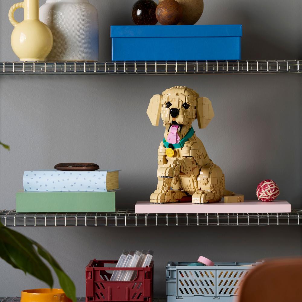 CACHORRO DE GOLDEN RETRIEVER