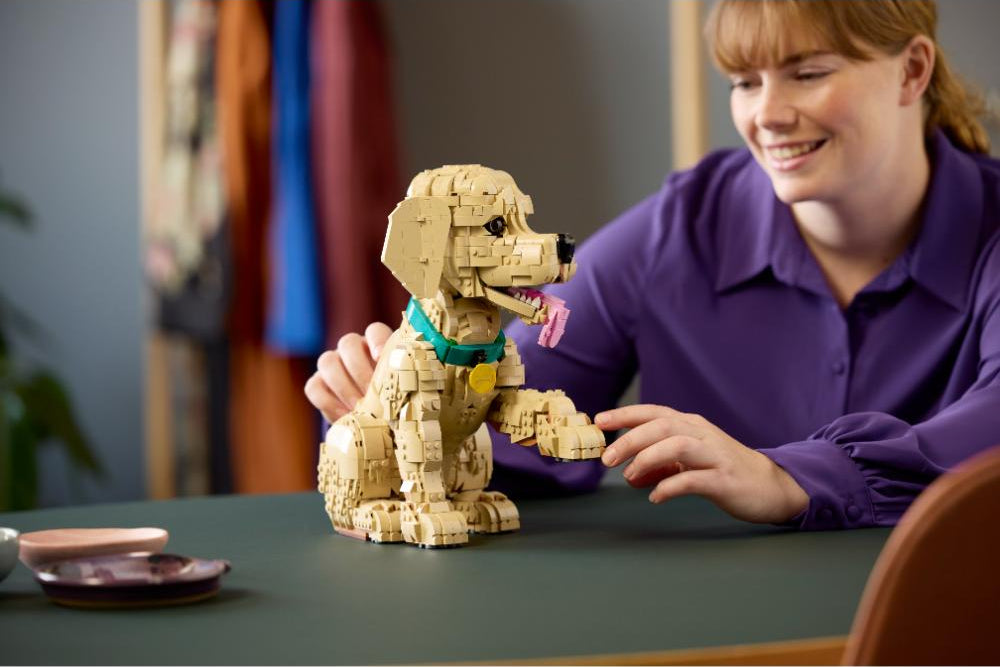 CACHORRO DE GOLDEN RETRIEVER