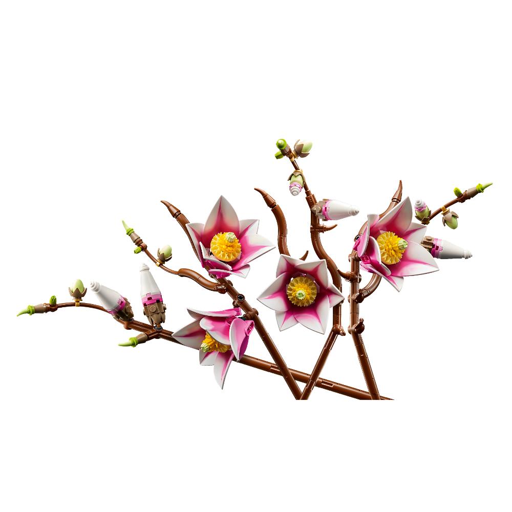 RAMAS DE MAGNOLIA