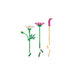 LEGO®Botanicals: Flores De Cosmos (11514)_006