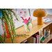 LEGO®Botanicals: Flores De Cosmos (11514)_008