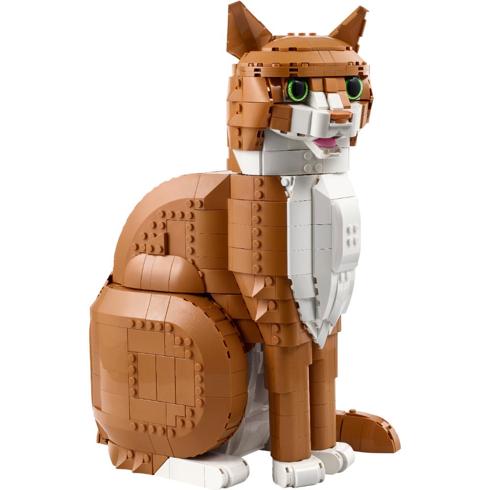 GATO NARANJA