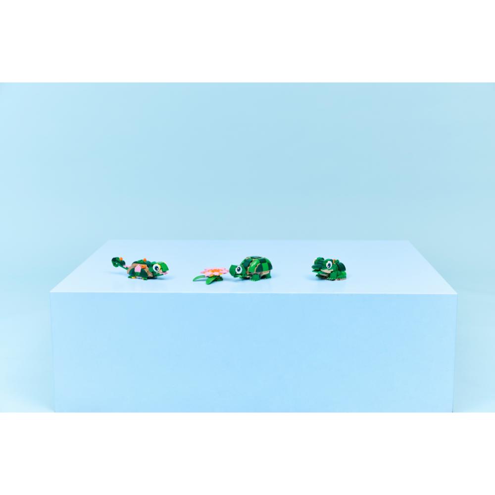 TORTUGA CON FLOR DE NENÚFAR