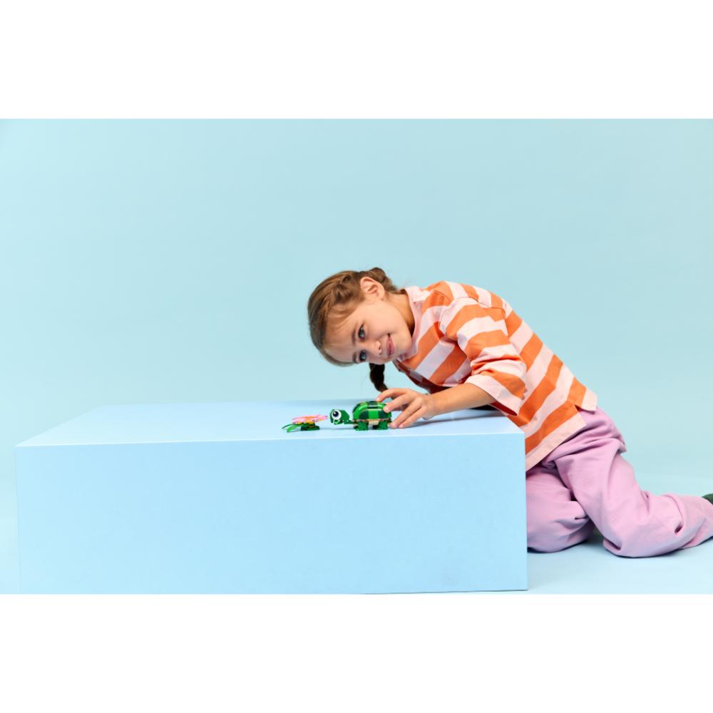 TORTUGA CON FLOR DE NENÚFAR