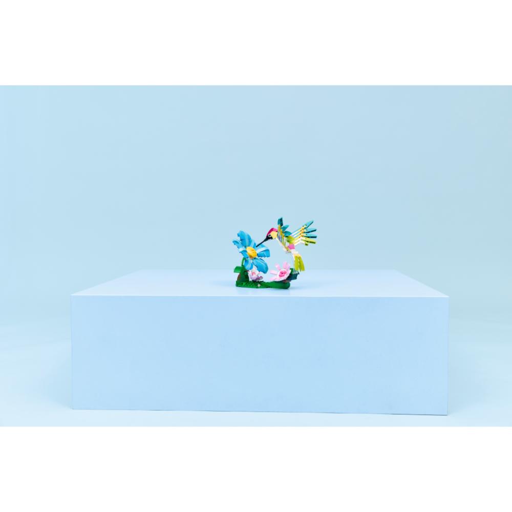 FAUNA SALVAJE: COLIBRÍ DE COLORES