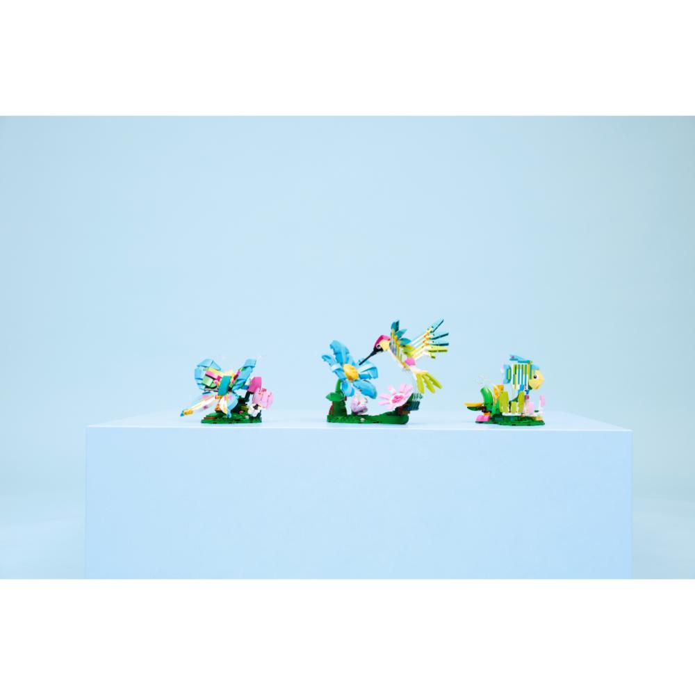 FAUNA SALVAJE: COLIBRÍ DE COLORES