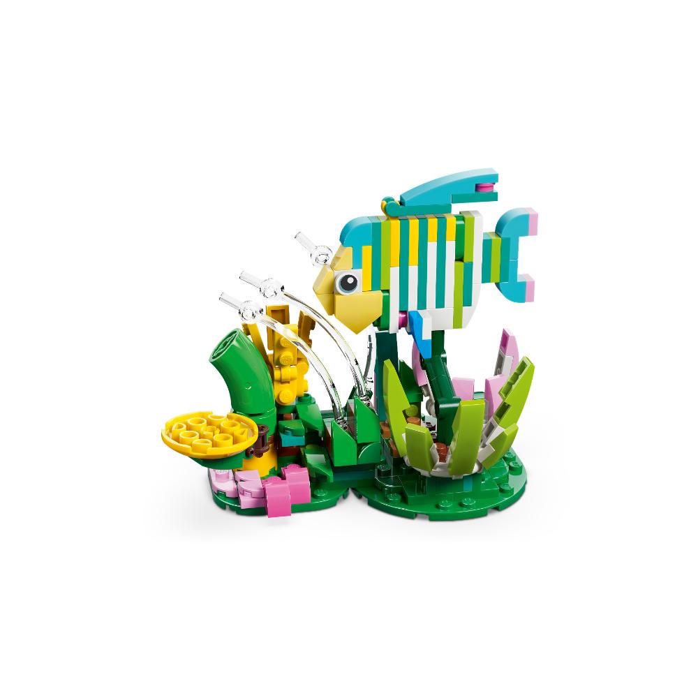 FAUNA SALVAJE: COLIBRÍ DE COLORES