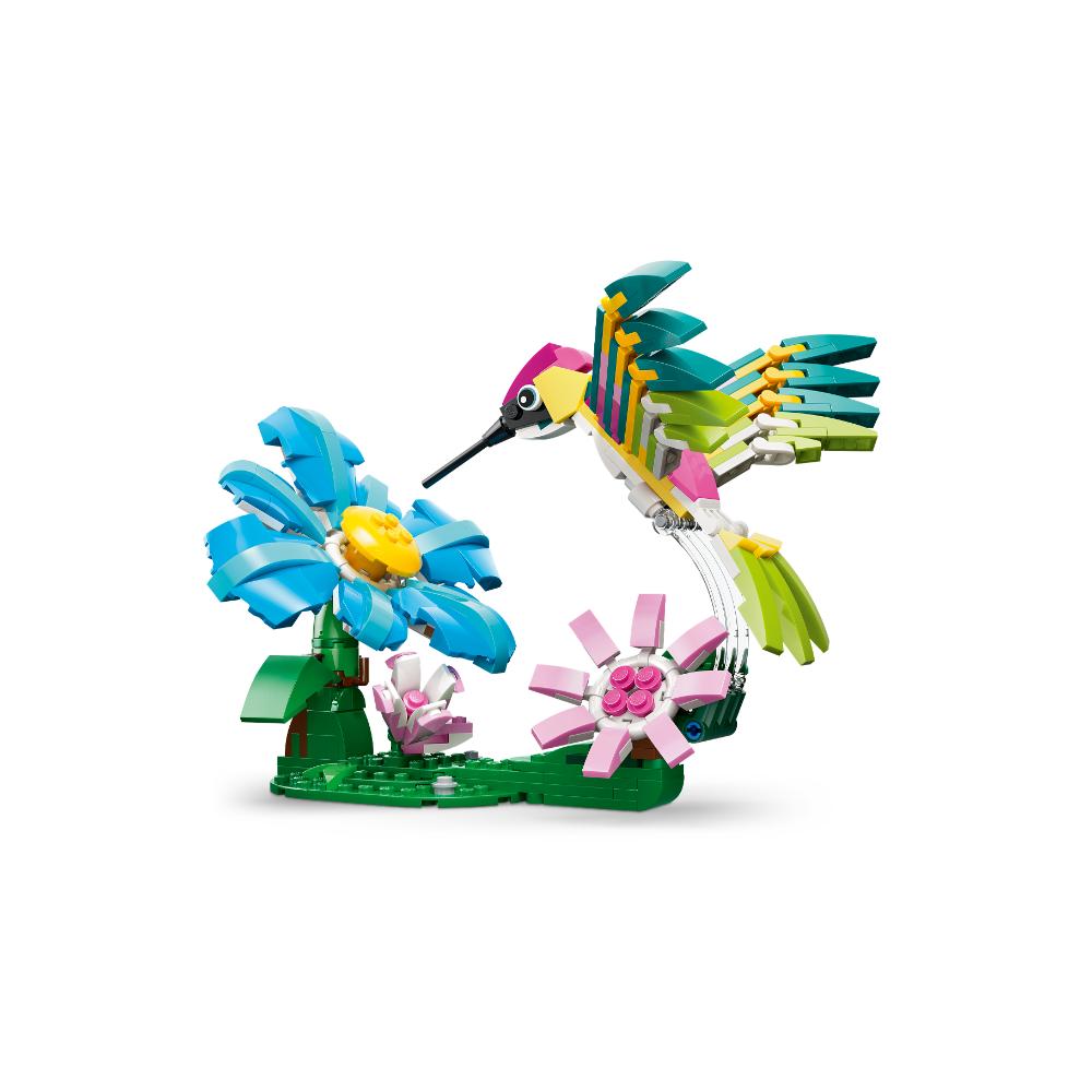 FAUNA SALVAJE: COLIBRÍ DE COLORES