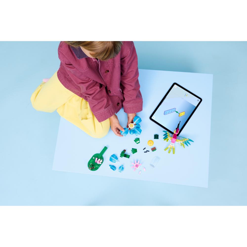 FAUNA SALVAJE: COLIBRÍ DE COLORES