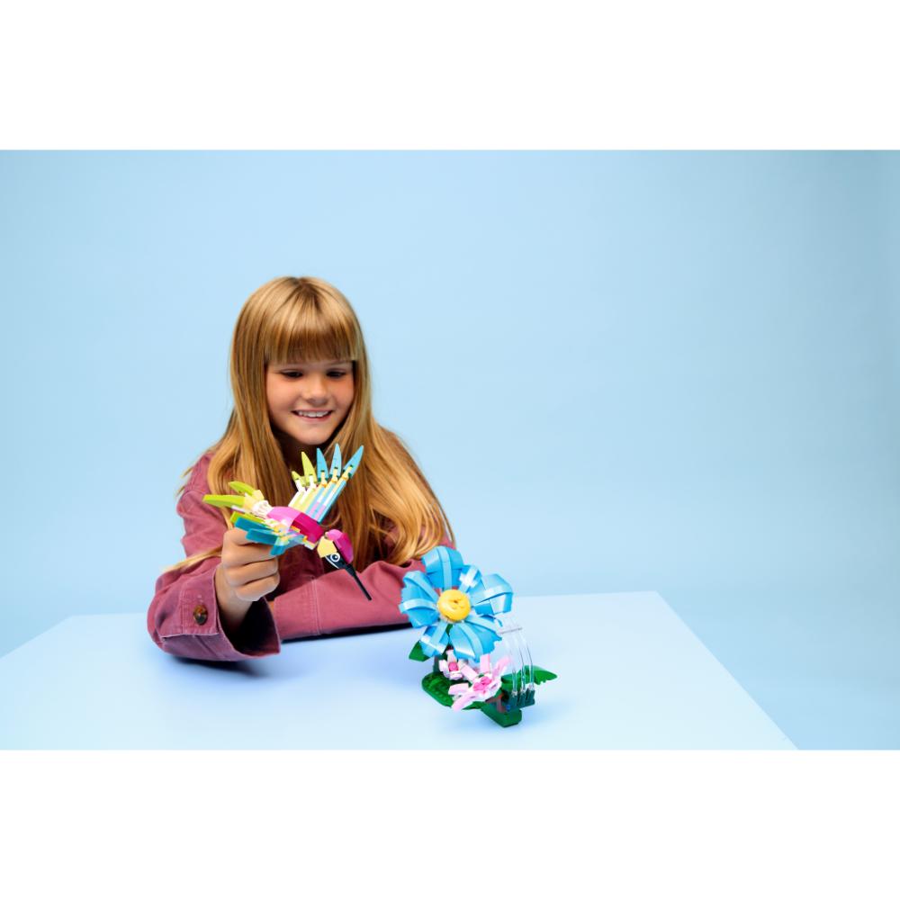 FAUNA SALVAJE: COLIBRÍ DE COLORES