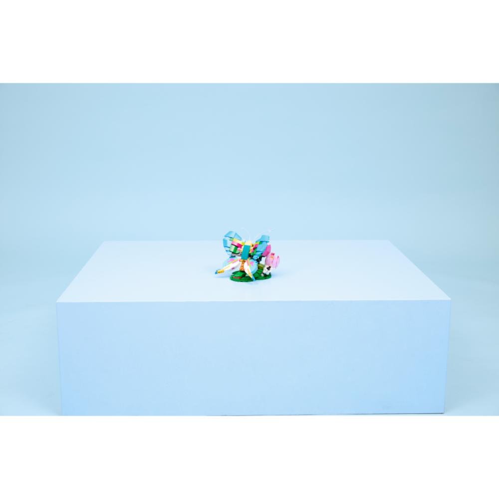 FAUNA SALVAJE: COLIBRÍ DE COLORES