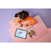 LEGO®Disney Princess: Mini Torre De Rapunzel (43294)_012
