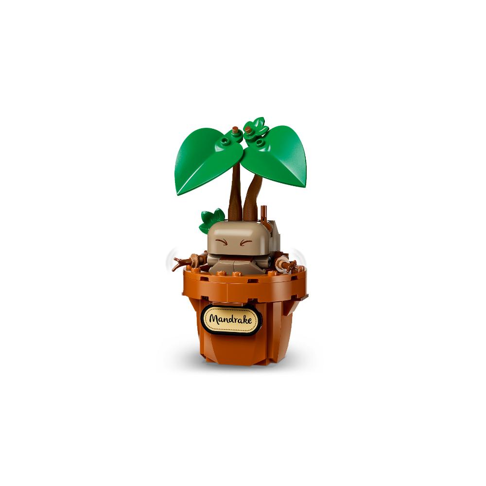 LEGO®Harry Potter Tm: Hogwarts™: Plantas De Herbología (76474)_005
