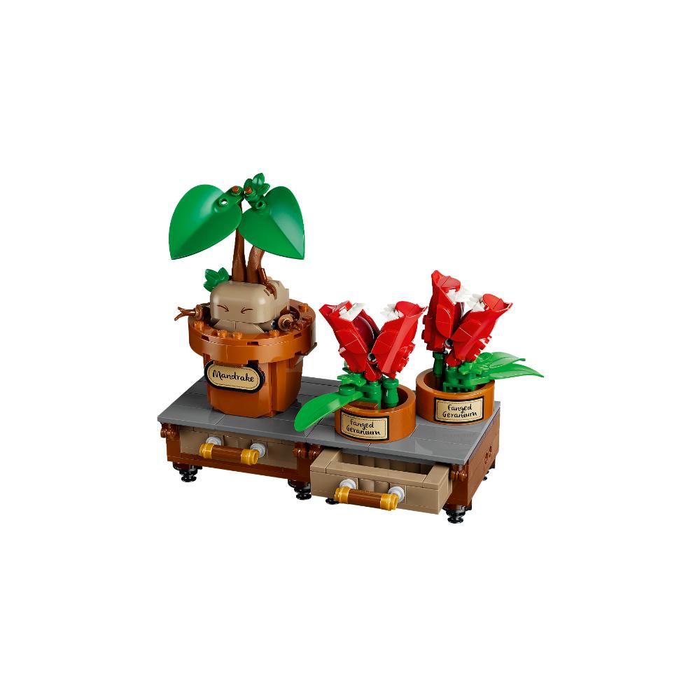LEGO®Harry Potter Tm: Hogwarts™: Plantas De Herbología (76474)_006