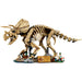 LEGO®Jurassic World: Fósiles De Dinosaurio: Triceratops (77985)_002
