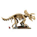 LEGO®Jurassic World: Fósiles De Dinosaurio: Triceratops (77985)_004