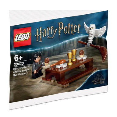 LEGO Harry Potter And Hedwig Owl Delivery (30420)