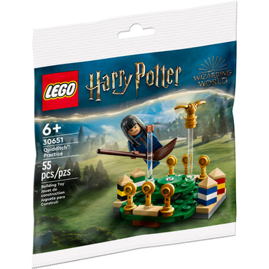 LEGO® Harry Potter™: Entrenamiento de Quidditch™ (30651)