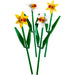 LEGO® Daffodils (40646)